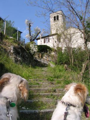 Judy and Dido at Caino